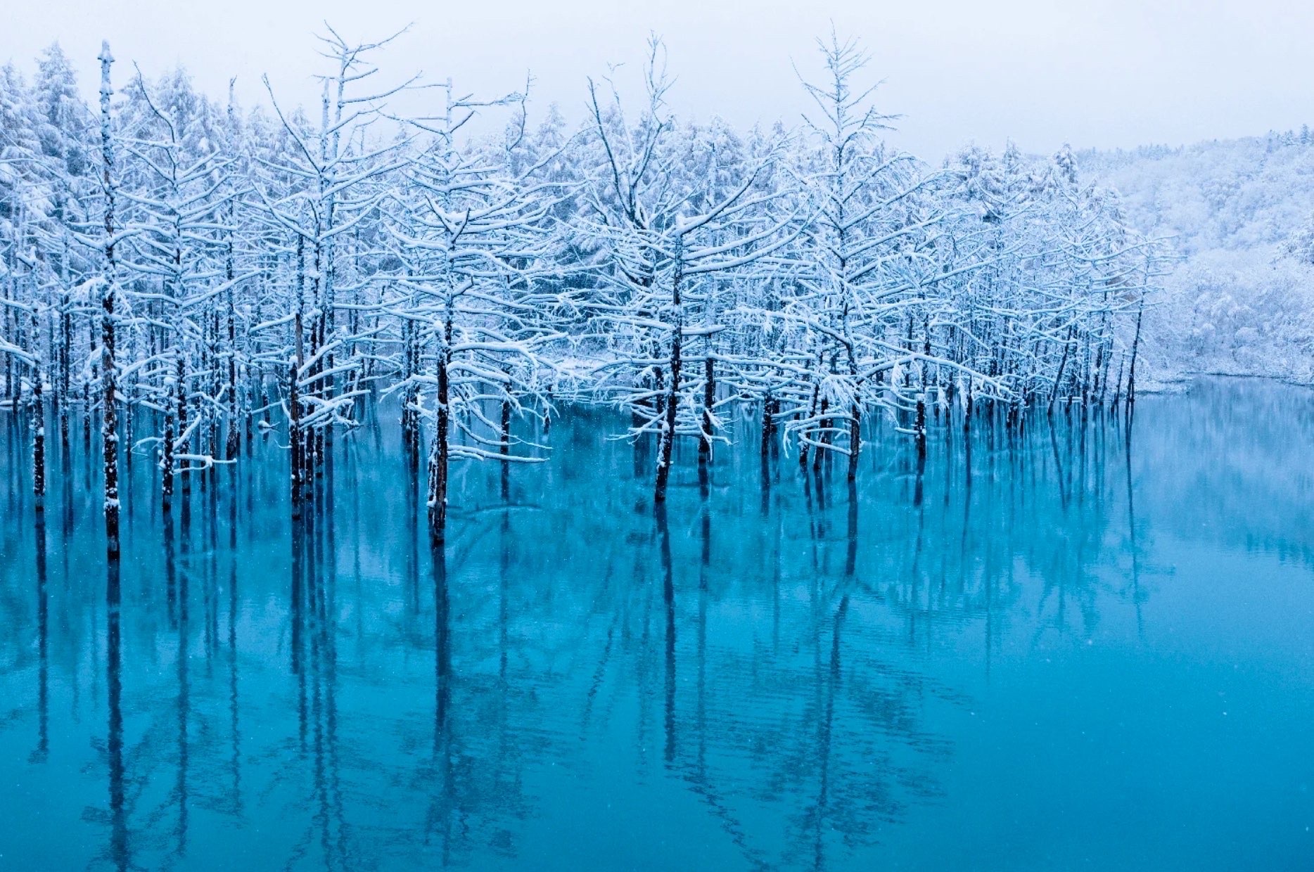 白金青い池
雪景色